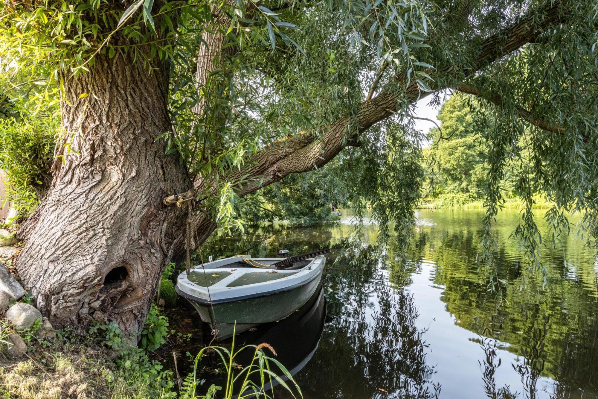 Ferienwohnung Am Parksee Bad Bodenteich Eksteriør bilde